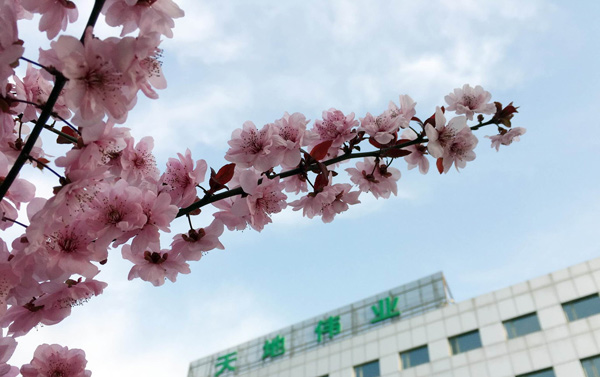 新利luck18(中国)体育·官方网站