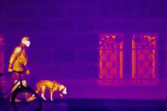 新利luck18(中国)体育·官方网站